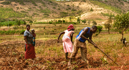 L'Agriculture et la Sécurité Alimentaire en Afrique