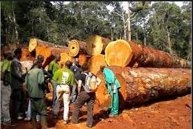 La Désertification et la Déforestation en Afrique 