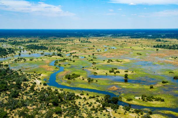 Le Delta de l'Okavango