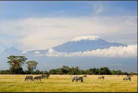 Le Majestueux Mont Kilimandjaro
