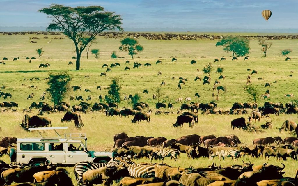 le parc national Serengeti